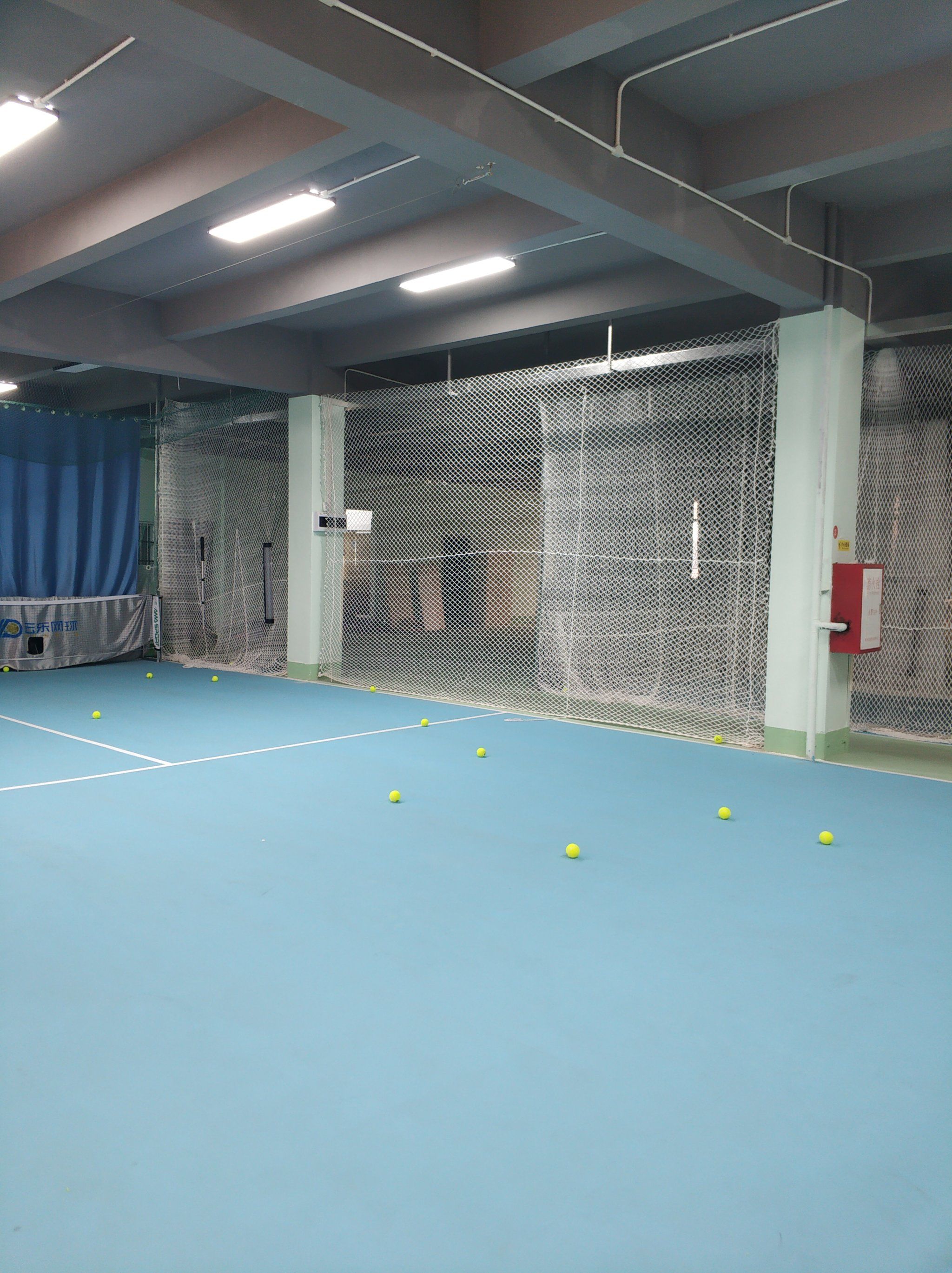 这一案例显 这一案例显