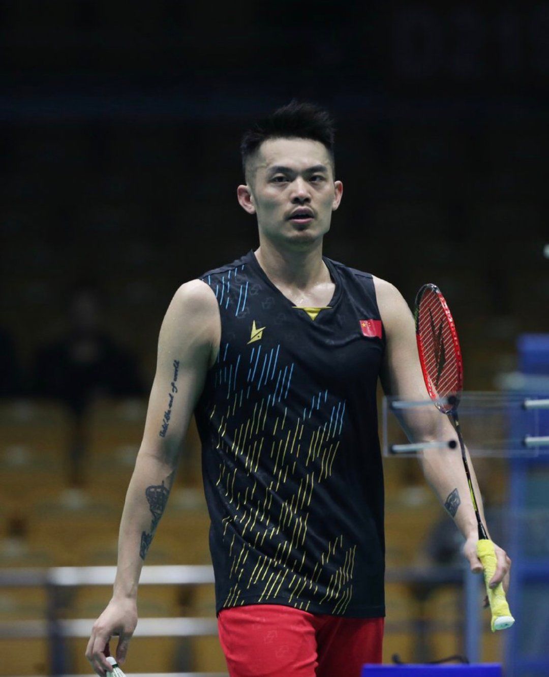 约基奇不仅 约基奇不仅