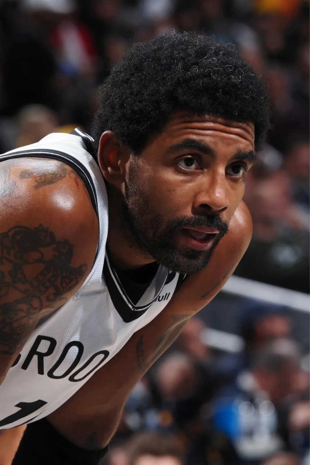 誉与胜利的 誉与胜利的